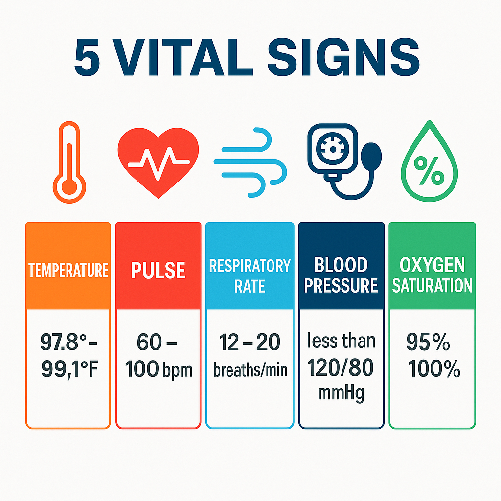 How to measure and interpret vital signs
